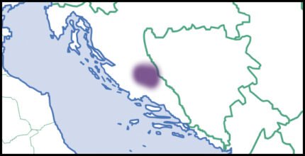 Pachystoma schelp met Europese kaart in roze, geel en zwart.