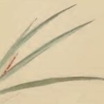 Zeegroene zeggeplant met gemijnde bladeren, winterhardheid attribuut.