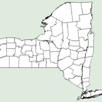 Distribution map of Heuchera villosa variety villosa in New York.