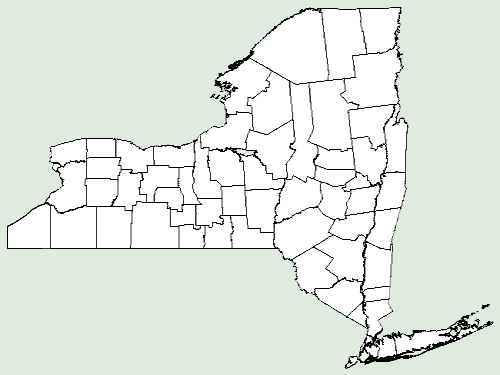 Distribution map of Heuchera villosa variety villosa in New York.