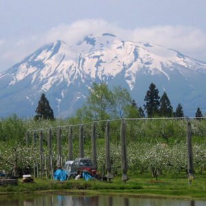 Berg Mount Iwaki met besneeuwde top in Japan.