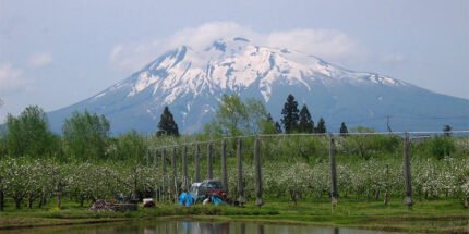 Berg Mount Iwaki met besneeuwde top in Japan.