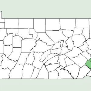 Verspreidingskaart van Morella caroliniensis in New York.