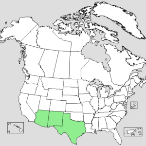 Kaart van de verspreiding van Opuntia Macrocentra in de VS.