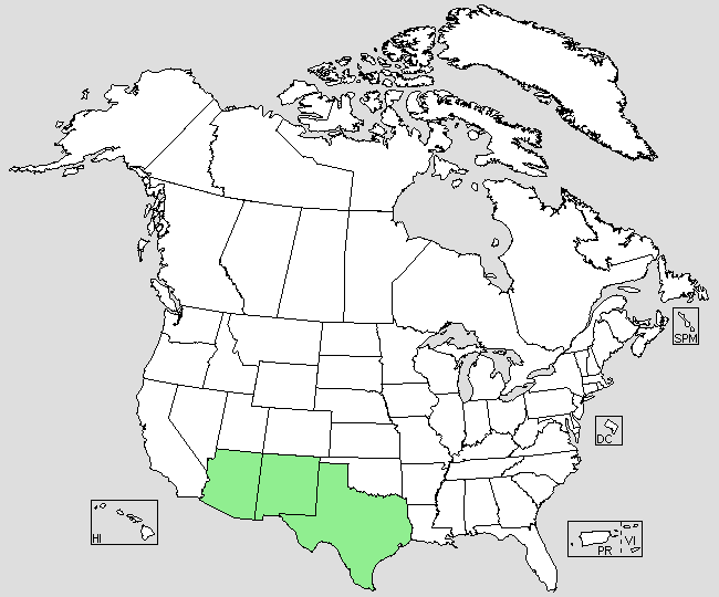 Kaart van de verspreiding van Opuntia Macrocentra in de VS.