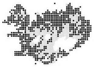 Bloeiende Platanthera hyperborea orchidee in IJslandse natuurlijke omgeving.