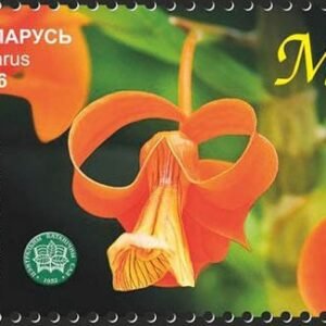 Dendrobium unicum orchidee postzegel uitgegeven door Wit-Rusland in 2016.