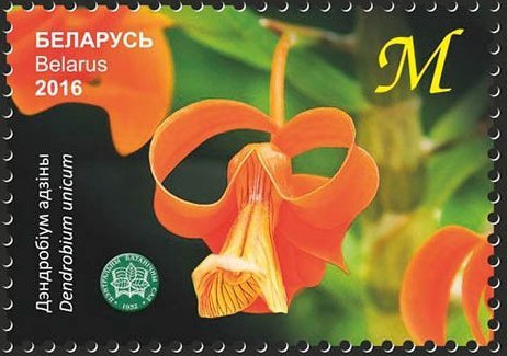 Dendrobium unicum orchidee postzegel uitgegeven door Wit-Rusland in 2016.