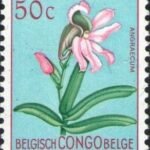 Eurychone galeandrae orchidee op Belgisch-Congolese postzegel uit 1952.