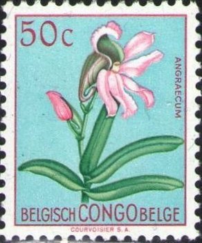 Eurychone galeandrae orchidee op Belgisch-Congolese postzegel uit 1952.