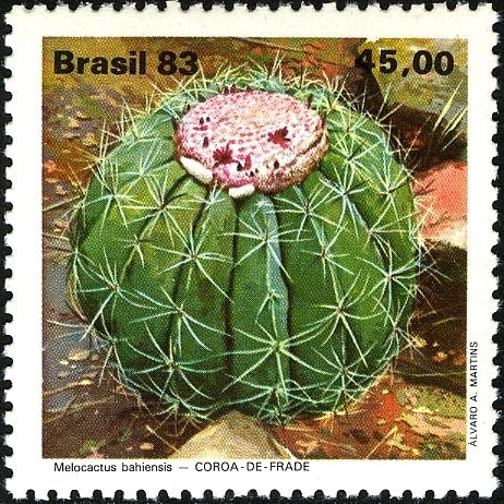 Melocactus bahiensis stempel van Braziliaanse flora - Coroa de frade.