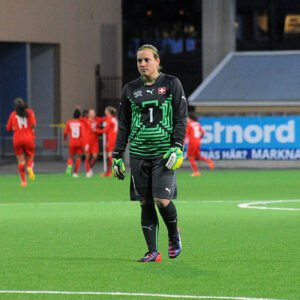 Stenia plant in kleigrond, met groene bladeren en bloemen.