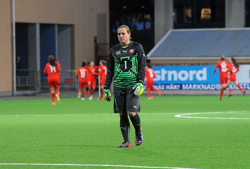 Stenia plant in kleigrond, met groene bladeren en bloemen.