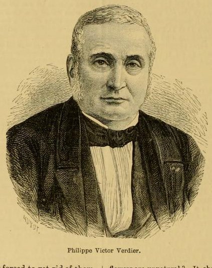 Victor Verdier rozenbloem in bloei met roze bloemblaadjes en groene bladeren.