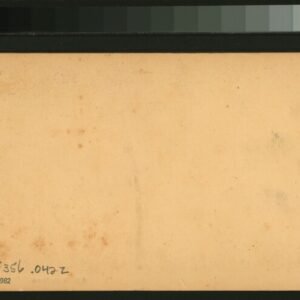 Green and spiky cacti in front of blue sky.