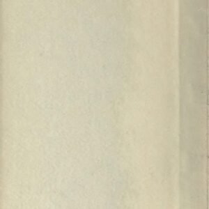 Opuntia alta cactus met platte, ovale groene bladeren en stekels op witte achtergrond.