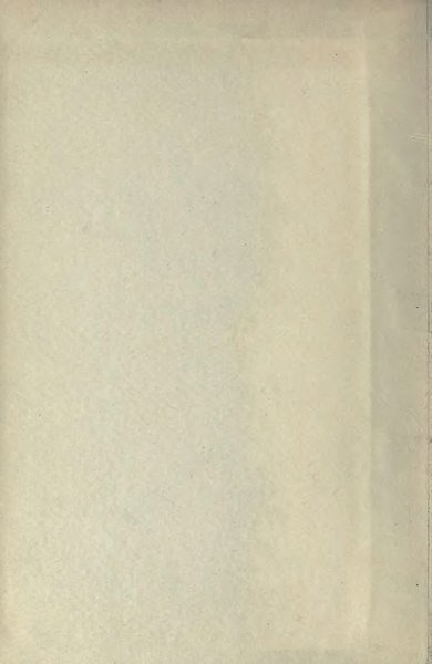 Opuntia alta cactus met platte, ovale groene bladeren en stekels op witte achtergrond.