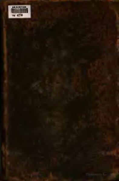 Verschillende tinten paarse, gele en witte iris bloemen met groene bladeren.