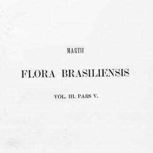 Close-up van Scaphyglottis prolifera orchideebloem met paarse bloemen en groene bladeren.