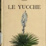 Opuntia cespitosa plant met levendige groene paddelvormige bladeren en gele bloemen in botanische illustratie.