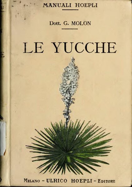Opuntia cespitosa plant met levendige groene paddelvormige bladeren en gele bloemen in botanische illustratie.