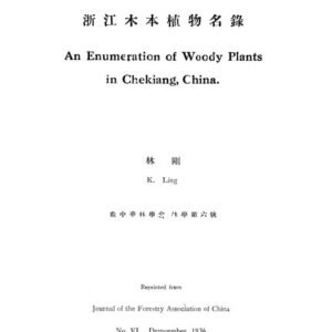 Ficus brachypoda plant met glanzende groene bladeren en kleine vruchten.