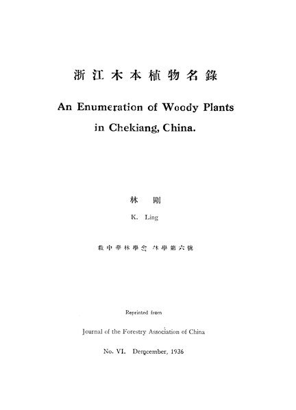 Ficus brachypoda plant met glanzende groene bladeren en kleine vruchten.