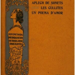 Roze bloem van Rosa 'Chopin' met delicate bloemblaadjes en groen blad.