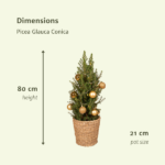 Picea Glauca Conica - Ø21cm - ↕80cm - Gold - Ø21 - ↨80cm - Afbeelding 5