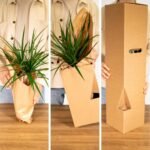 Tillandsia Kubus Mix Groot - Ø20cm - ↕35cm - Afbeelding 5