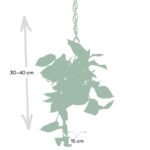 Epipremnum Marble Queen - Scindapsus - Ø15cm - ↕25cm - Afbeelding 3