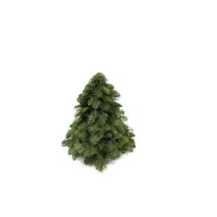 Nobilis kerstboom van 30 cm, vol en compact met donkergroene naalden en een zachte, zilverachtige glans.