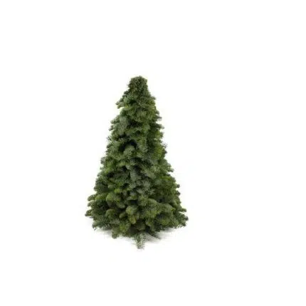 Nobilis Kerstboom van 50 cm met volle, compacte vorm en donkergroene, glanzende naalden. Ideaal voor decoratie.