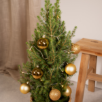 Picea Glauca Conica - Ø21cm - ↕80cm - Gold - Ø21 - ↨80cm - Afbeelding 3