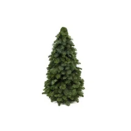 Volle, compacte Nobilis kerstboom van 60 cm met donkergroene, glanzende naalden en stevige takken.
