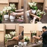 Kolibri Orchids | roze Phalaenopsis orchidee potmaat Ø9cm | Rotterdam | bloeiende kamerplant - vers van de kweker - Afbeelding 6