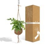 Kokodama Monstera Minima Hang - Gatenplant - Ø15cm - ↕25cm - Afbeelding 4