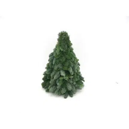 Nobilis Kerstboom van 40 cm met volle, donkergroene takken en een zachte, zilverachtige glans. Perfect voor decoratie.