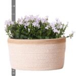 Campanula Addenda Ambella white - Cotton schaal met Campanula met watergeefsysteem - 3 stuks - Klokjesbloem wit- potmaat 12cm - binnen & buiten - Afbeelding 8