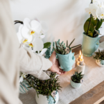 Kolibri Orchids | Planten set Fish Turquoise | Set met witte Phalaenopsis orchidee Amabilis Ø9cm en groene plant Succulent Crassula Hobbit Ø6cm | incl. turquoise keramieken sierpotten - Afbeelding 4