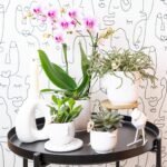 Kolibri Orchids | roze Phalaenopsis orchidee potmaat Ø9cm | Rotterdam | bloeiende kamerplant - vers van de kweker - Afbeelding 4