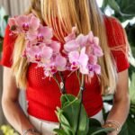 Kolibri Orchids | COMBI DEAL van 4 Phalaenopsis orchideeën - Pirate Picotee - potmaat Ø12cm | bloeiende kamerplant - vers van de kweker - Afbeelding 5
