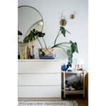 Set van 2 licht eiken schijven met luchtplanten, geplaatst op een kast met een spiegel en decoratieve accessoires.