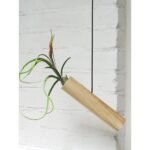 Hangcilinder - Licht eiken - Afbeelding 4