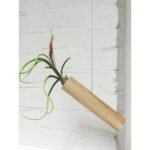 Hangcilinder - Licht eiken - Afbeelding 7