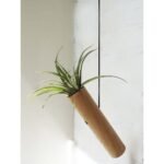 Hangcilinder - Licht eiken - Afbeelding 3